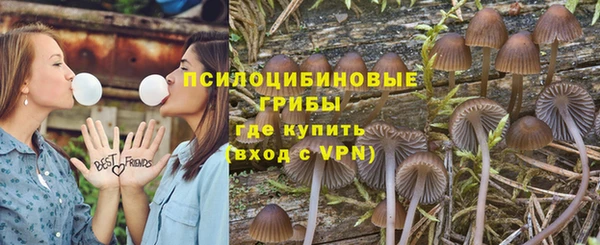 гашик Заводоуковск