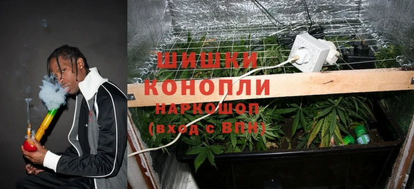 гашик Богданович