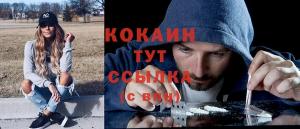 гашик Богданович