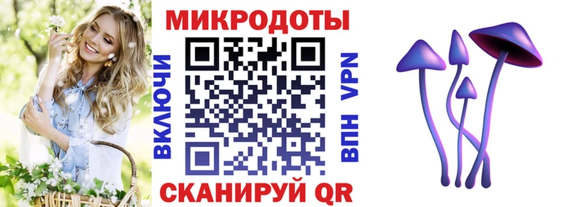 Псилоцибиновые грибы прущие грибы  Дальнегорск 