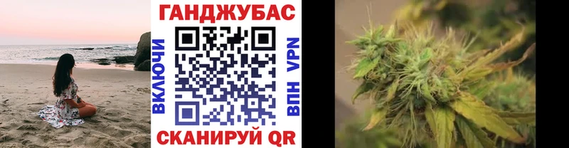 Шишки марихуана сатива  Дальнегорск 